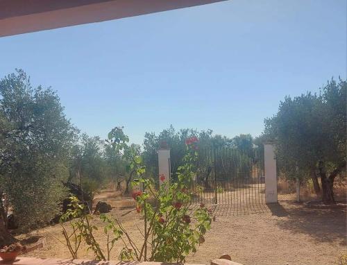 a garden with a fence and a plant with red roses at Forest Farm in Amman