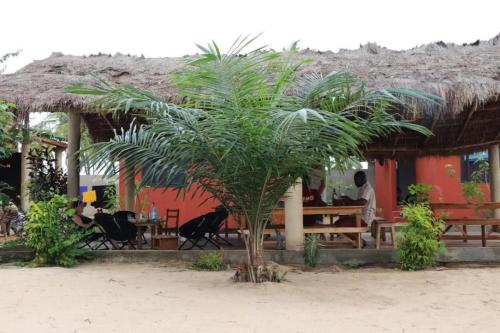 a palm tree in front of a hut at Appart'Haris in Ouidah