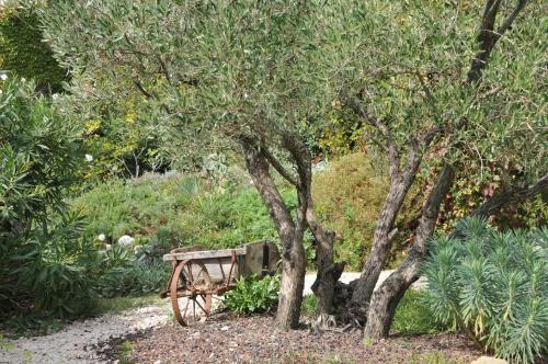 a wooden cart sitting next to two trees at La Maison du Passage - Chambres - Suites premium, Spa, Piscine et Restaurant in Martignargues