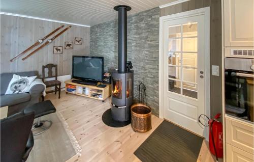 a living room with a fireplace and a television at Amazing Home In Rauland With Wifi in Rauland