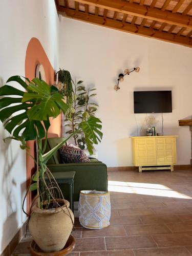a living room with a green couch and a tv at Hacienda la Yerbabuena in Cádiz