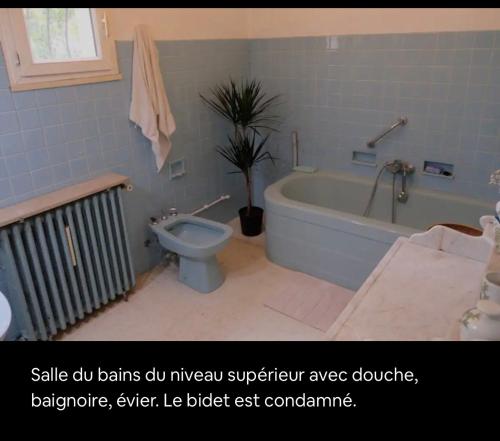 une salle de bain avec une baignoire, des toilettes et un lavabo dans l'établissement Appart sunshine, à Sainte-Tulle