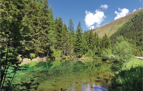 a lake in the middle of a forest at Großes Ferienhaus St Sigmund in Sankt Sigmund im Sellrain