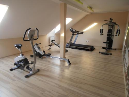 Fitness center at/o fitness facilities sa Villa Ramzes