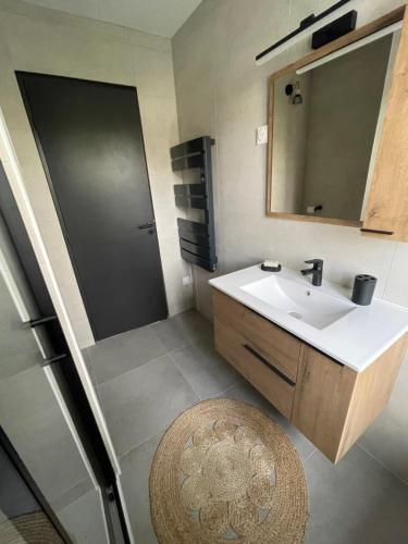 une salle de bain avec un lavabo et un miroir dans l'établissement Maison 2 chambres, à Coucouron