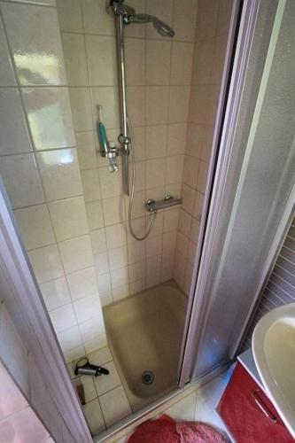 a shower with a glass door in a bathroom at Ferienhaus Männel in Fichtzig