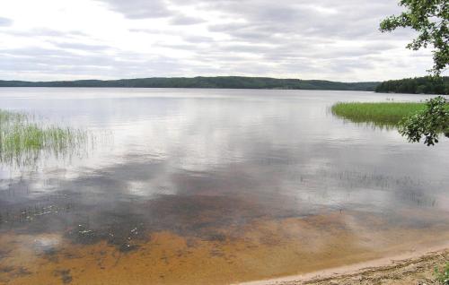 a large body of water with trees and grass at Gorgeous Home In Fristad With Wifi in Tämta