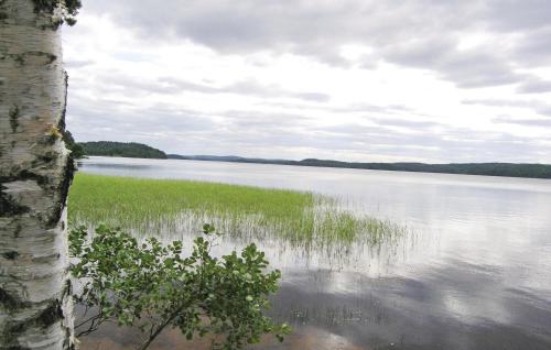 a view of a lake with grass and trees at Gorgeous Home In Fristad With Wifi in Tämta