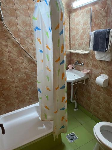 a bathroom with a shower curtain with fishes on it at Casa Buşcu in Costinesti