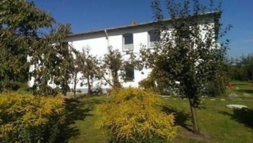 un edificio bianco con un albero di fronte di Ferienwohnung in Vorland mit Grill und Garten a Vorland