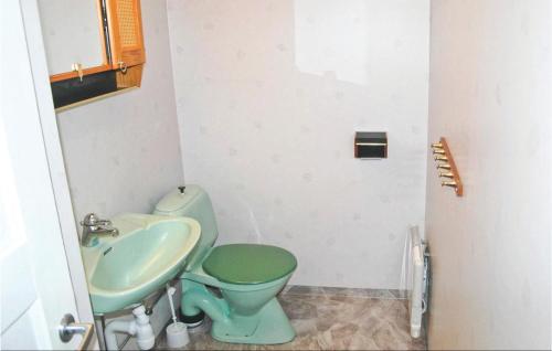 a bathroom with a green toilet and a sink at Cozy Home In Ölsremma With Wifi in Ljungsarp