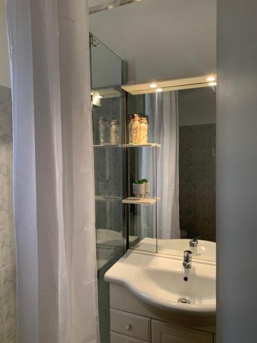 une salle de bain avec un lavabo et un miroir dans l'établissement T1 Sélizia, à Canet