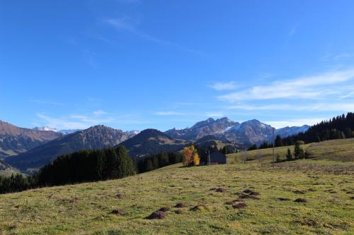 a grassy hill with mountains in the background at Plans in La Lécherette