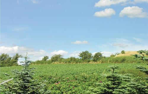 a field of plants with trees and a blue sky at Holiday Home B in Fåborg