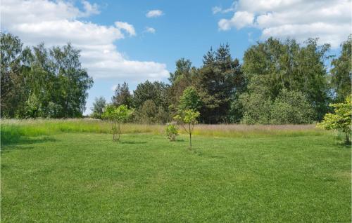 two small trees in a field of grass at Gorgeous Home In Skibby With Kitchen in Skibby