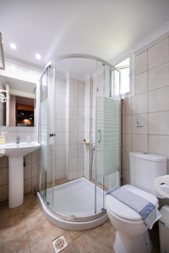 a bathroom with a shower and a toilet and a sink at Villa Verde Fenia in Lefkada