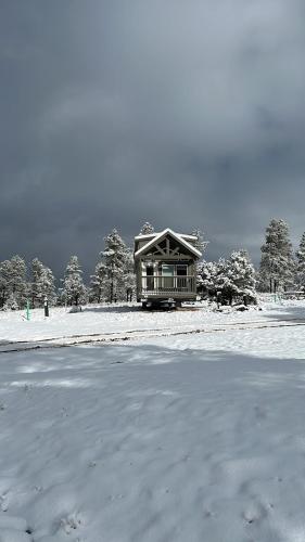 a house in the snow next to a frozen lake at Cozy cabins by the forest 1B in Williams