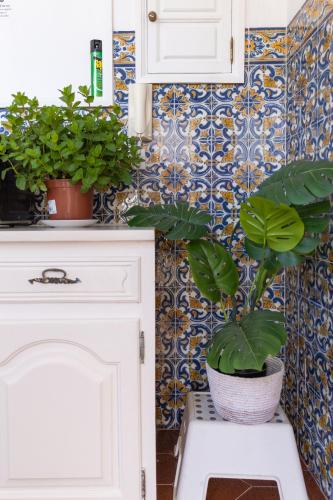 a bathroom with potted plants on a wall at Douro Garden & Rooftop Home in Vila Nova de Gaia