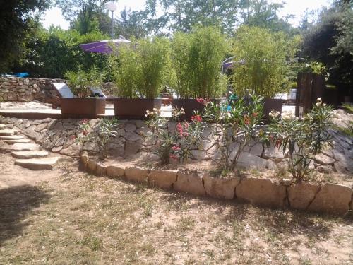 a garden with some plants in a stone wall at Gîtes Les 3 Cigales in Vallon-Pont-dʼArc
