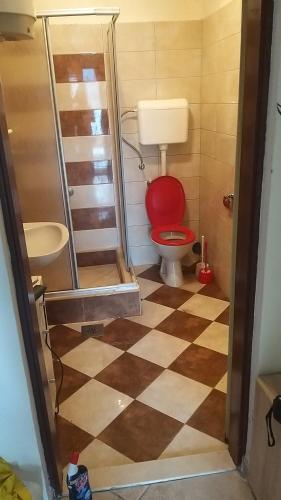 a bathroom with a toilet and a shower with a checkered floor at Amarillys in Donji Morinj