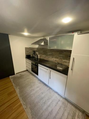 eine kleine Küche mit Spüle und Kühlschrank in der Unterkunft Little piece of paradise in Noisy-le-Sec