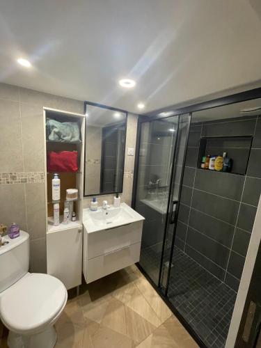 une salle de bain avec toilettes, douche et lavabo dans l'établissement Little piece of paradise, à Noisy-le-Sec