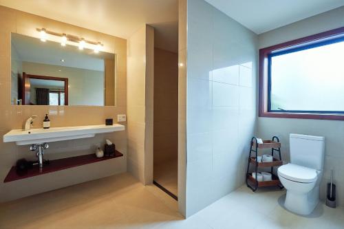 a bathroom with a toilet and a sink and a mirror at Glencree Luxury Chalets in Kaikoura