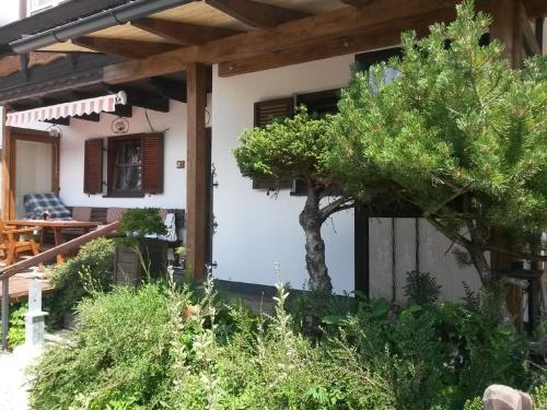 a house with a tree in the yard at AlmFerienhaus Gaisegg am Klippitztörl in Klippitztorl