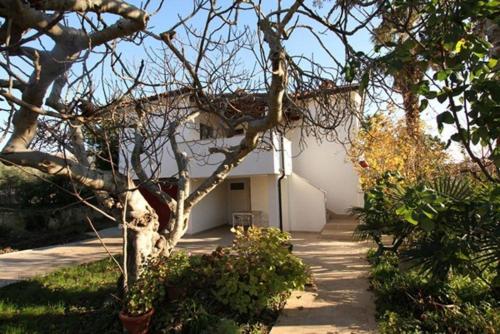 Helle Ferienwohnung im Souterrain mit Gartennutzung