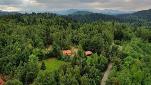 eine Luftaufnahme eines Hauses mitten in einem Wald in der Unterkunft Ferienhaus für 7 Personen ca 80 qm in Lokve, Kvarner Bucht Gespanschaft Primorje-Gorski in Lokve