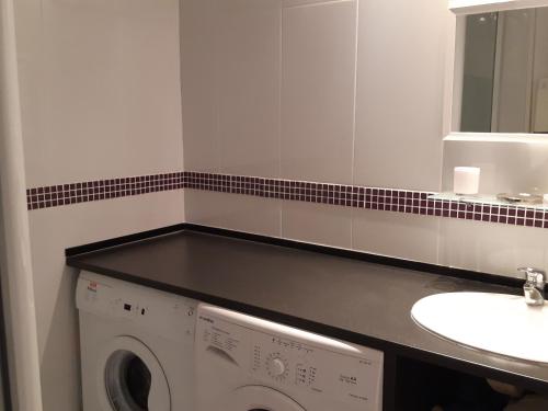 une salle de bain avec une machine à laver et un lavabo dans l'établissement Charmant T2 à Port Leucate - Proche Mer, Animaux Acceptés, Climatisation - FR-1-798-12, à Leucate