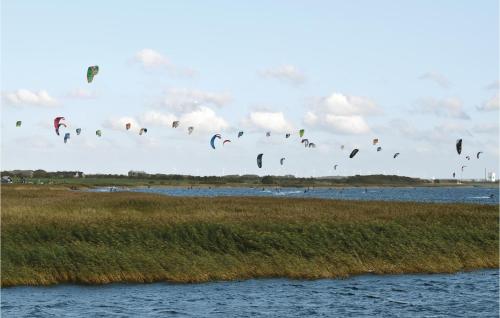 a bunch of kites flying in the sky over the water at Holiday Home Holmsland Klitvej Ringkøbing in Søndervig