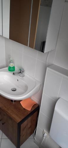 a bathroom with a sink and a mirror at Appartement in Buchenhain mit Großem Garten in Buchenhain