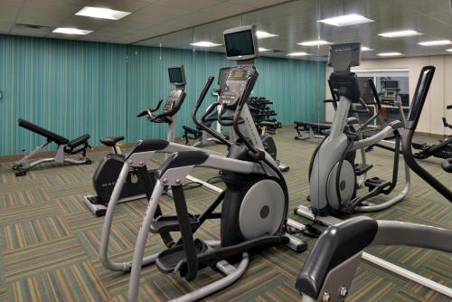 a gym with rows of exercise bikes and treadmills at Holiday Inn Express & Suites - Wylie West by IHG in Wylie