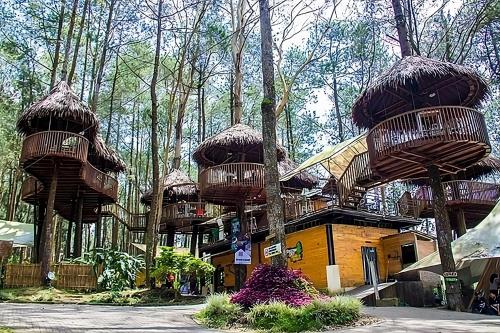 KopengにあるKopeng Treetop Adventure Parkの木々が茂る建物を持つリゾート