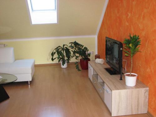 salon z telewizorem i doniczkami w obiekcie Komfortable Ferienwohnung mit Balkon und Blick in den Schlosspark w mieście Elstra