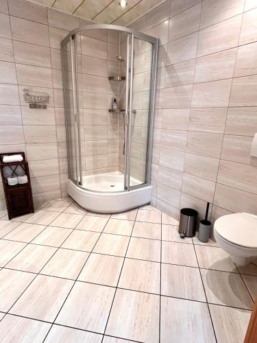 a bathroom with a shower and a toilet at Apartamenty Nyskie in Zgorzelec