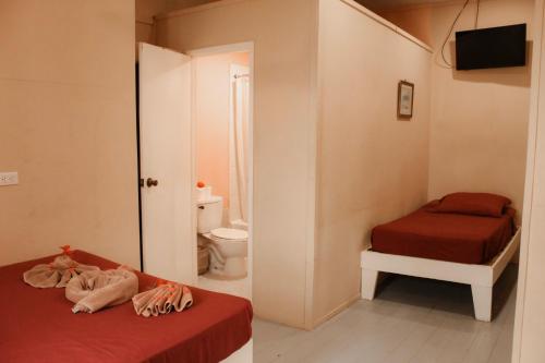 Katil atau katil-katil dalam bilik di Tropical Paradise Express