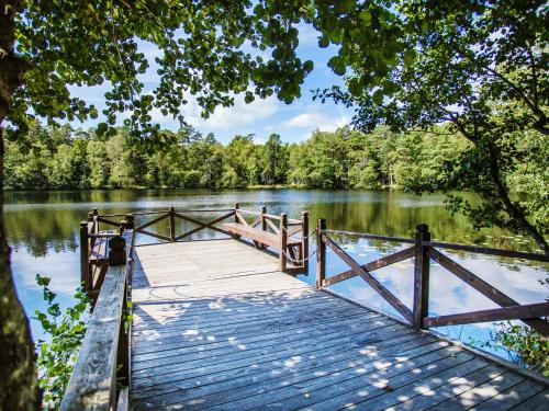 a wooden bridge over a lake with trees in the background at Ronneby Brunn in Ronneby