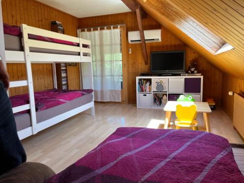 a bedroom with two bunk beds and a tv at Pony Hof in Heiligenschwendi