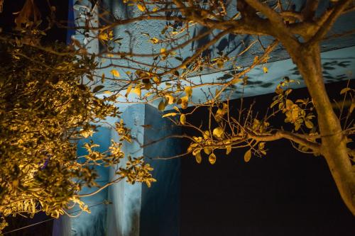 a tree in front of a building at night at Anna King Hotel in Chiayi City