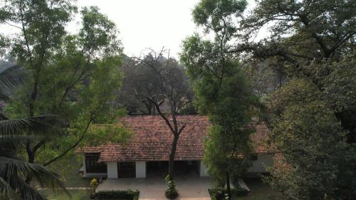 a roof of a house in the middle of trees at Banyan House - luxurious 4 bedroom villa on one acre, near the beach in Nagaon