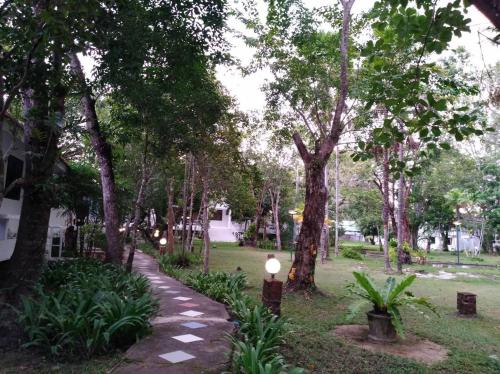 a path in a park with trees and lights at LayTrang Pakmeng Marina Spa and Resort in Trang