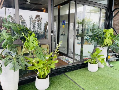 a group of potted plants in front of a door at ND Happy House 1- CH sân vườn, CH chuẩn khách sạn tại số 10 ngách 5 ngõ 56 Hoa Lâm, Hà Nội in Hanoi