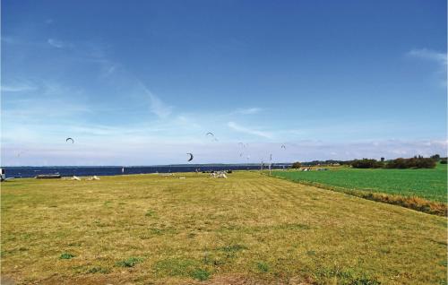 a group of kites flying in the sky over a field at Holiday Apartment Boiensdorf 03 in Boiensdorf
