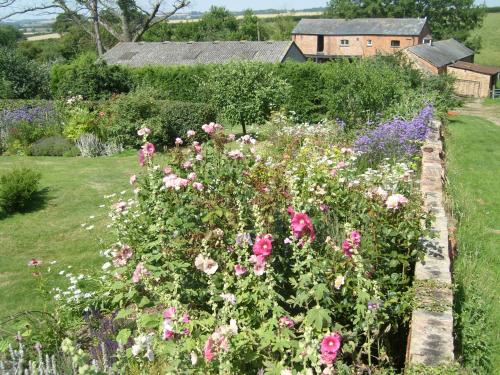 a garden with pink roses and other flowers at The Hall Farm Bed And Breakfast in Tilbrook