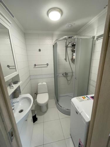 a bathroom with a shower and a toilet and a sink at Cute little house with private area and terrace in Jūrmala