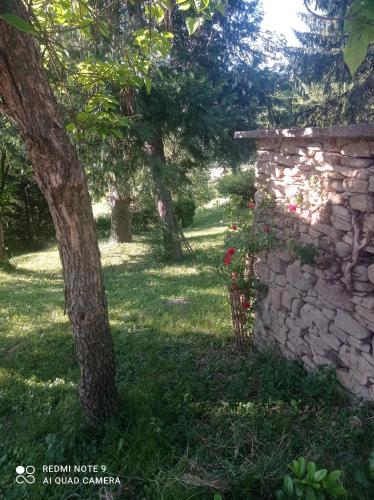 a garden with a stone wall and a tree at MAMOTA B&B in Vesime