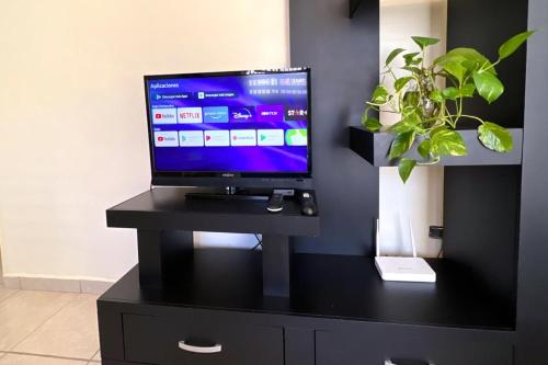 a tv sitting on a black stand with a plant at Depa cerca Del Consulado 3 in Hermosillo