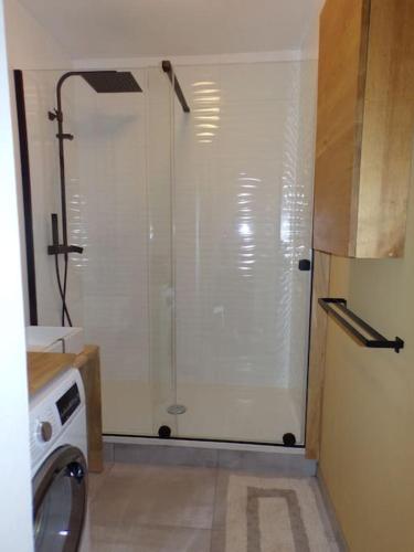 une douche dans une salle de bain avec machine à laver dans l'établissement Appartement avec jardinet et terrasse, à Saint-Jean-de-Luz